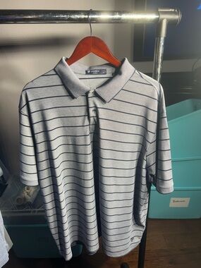 Daniel Cremieux Light Gray Polo with Navy Stripes